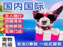 呼伦贝尔海拉尔机场空运国际宠物托运 【国